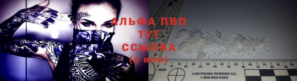 PSILOCYBIN Семикаракорск
