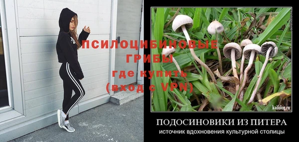 прущая мука Арсеньев