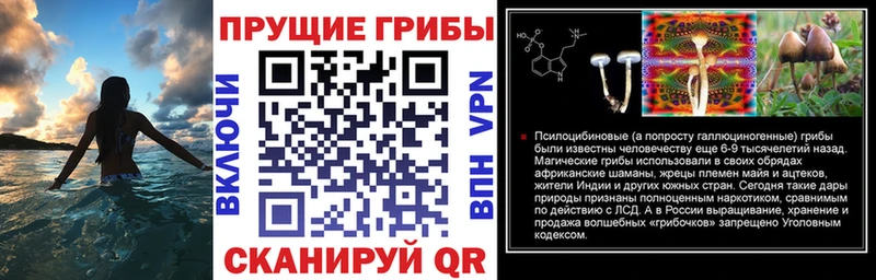 Псилоцибиновые грибы Psilocybe цена Отрадный